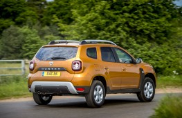 Dacia Duster, rear action